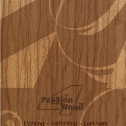 灯饰设计 Passion 4 Wood  lighting 2016