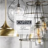 灯饰设计:Capital 2018年欧美吊灯设计素材