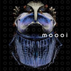 灯具设计:Moooi 2018年欧美创意灯具设计目录