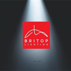 实木吊灯设计:britop 2019-2020年波兰现代实木灯饰设计素材图片