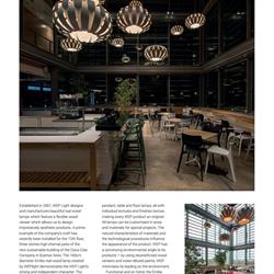 灯饰设计 Lighting 2020年欧美灯饰灯具设计素材图片