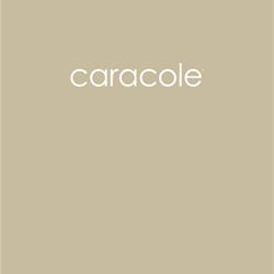 家具设计:Caracole  2020年欧美现代家具设计图片