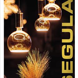 灯饰设计:SEGULA 2023年简约灯具设计图片电子图册