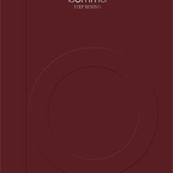 灯饰设计:Bomma 2025年欧美现代时尚玻璃灯饰设计电子书