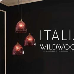 灯饰设计 Wildwood 2025年意大利灯饰产品图片电子书