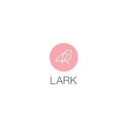 灯饰设计:Lark 2025年新款美国现代灯饰灯具产品图片电子书