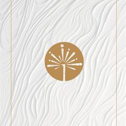 灯饰设计:Acend 2025年巴西现代照明灯具设计电子目录