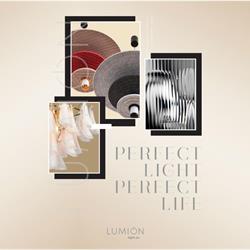 灯饰设计 Lumion 2026年俄罗斯现代时尚灯具设计图片电子书
