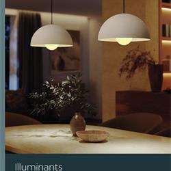 Eglo Lighting 2026年欧式灯泡灯源电子书