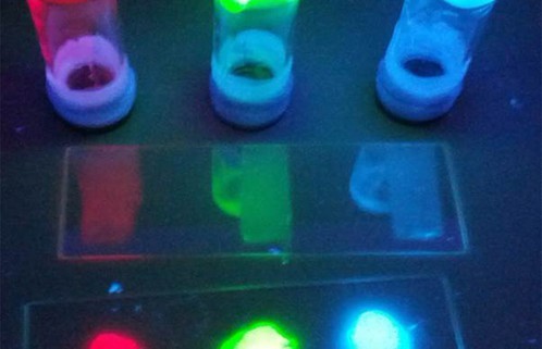 科学家发明全球首款基于荧光蛋白的白光LED
